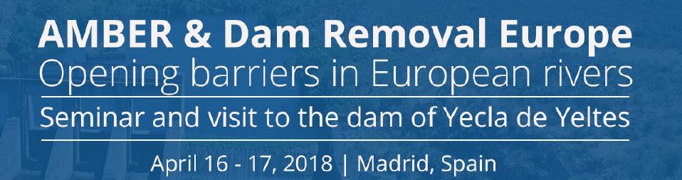 AMBER&Dam Removal