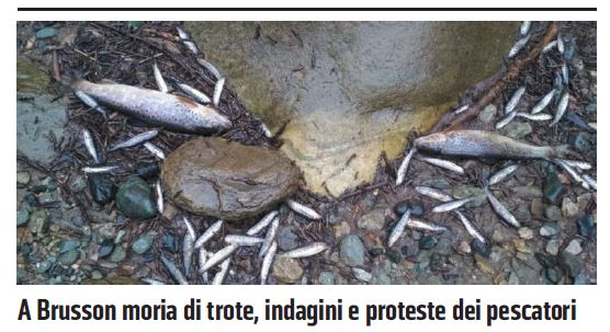 Torrente Messuere a Brusson