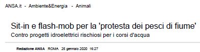 ANSA 25/01/2020 - Protesta pasci di fiuime