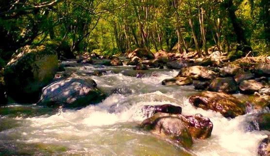 fiume Ancinale  -  Cardinale (CZ)