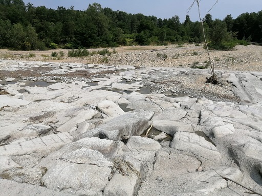 torrente Elvo (BI) - dopo della presa