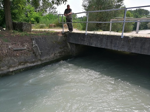 torrente Elvo (BI) - prima della presa