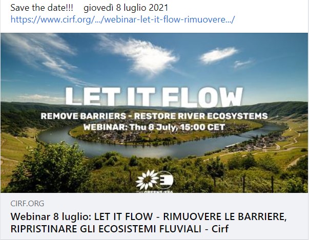 Let it flow - CIRF