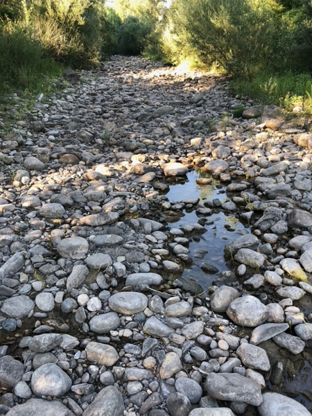 torrente Elvella - Siena Viterbo