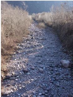 Richiesta monitoraggio DE torrente Resio